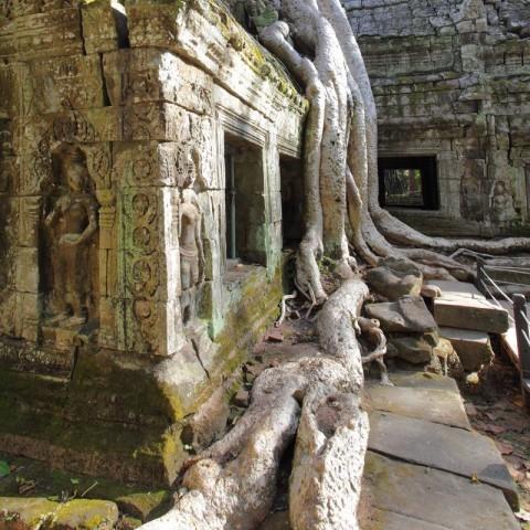 Kambodžos Angkor Wat šventykla
