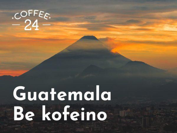 Kava Guatemala