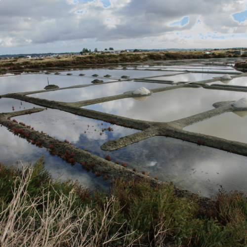 Fleur de sel iš Guerande