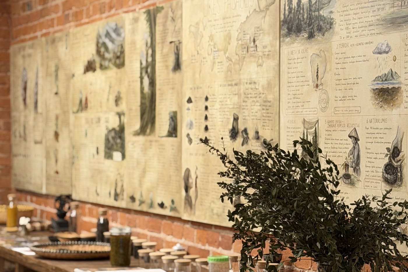 Pipirų galerija Kaune — degustacijų erdvė